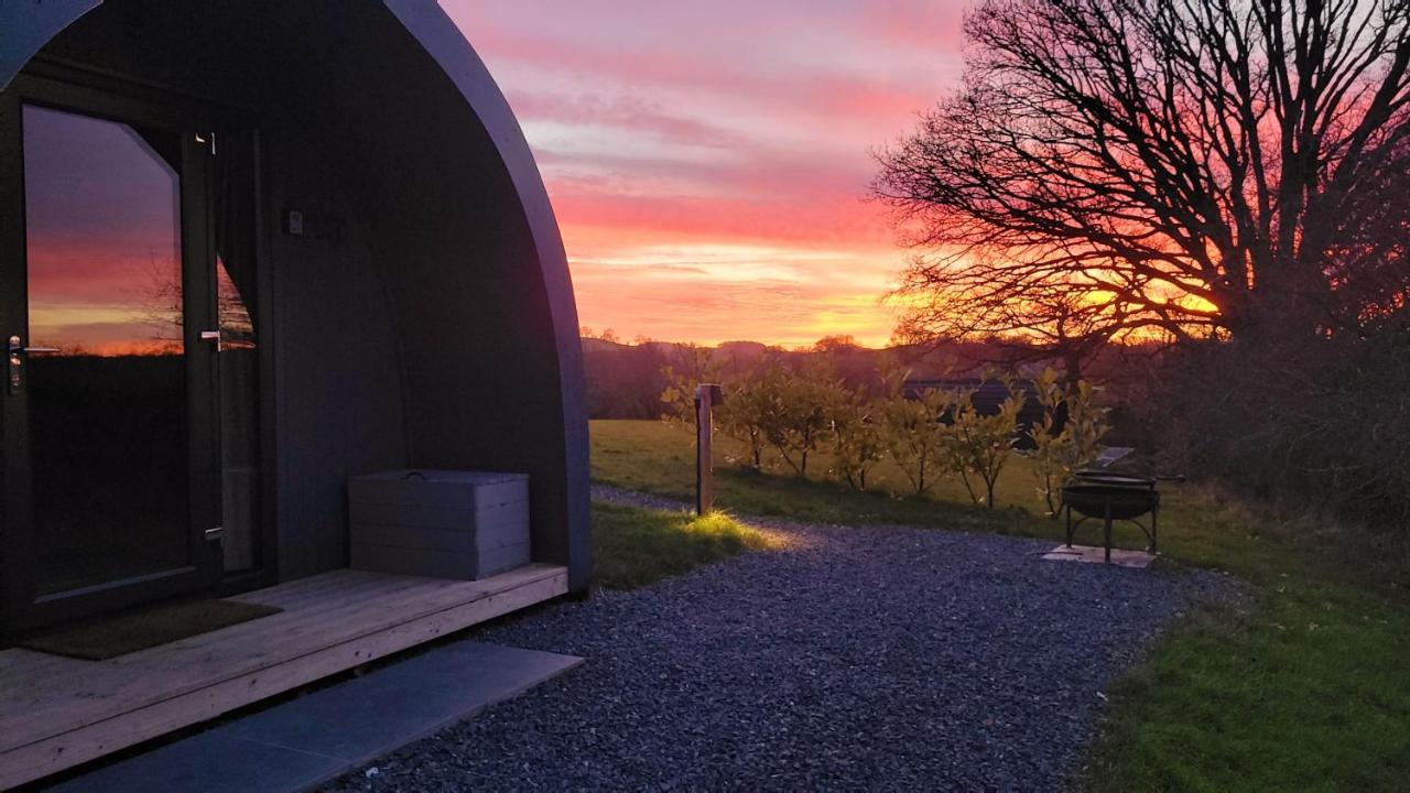 Odli Glamping - Luxury Glamping Pod Villa Welshpool Buitenkant foto